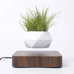 Floatey Design Plant | Zwevende Plant - Bloempot (levitation) 7 Floatey Design Plant | Zwevende Plant - Bloempot (levitation) -Tuinwinkel Voor Buitenartikelen 1200x1196 5