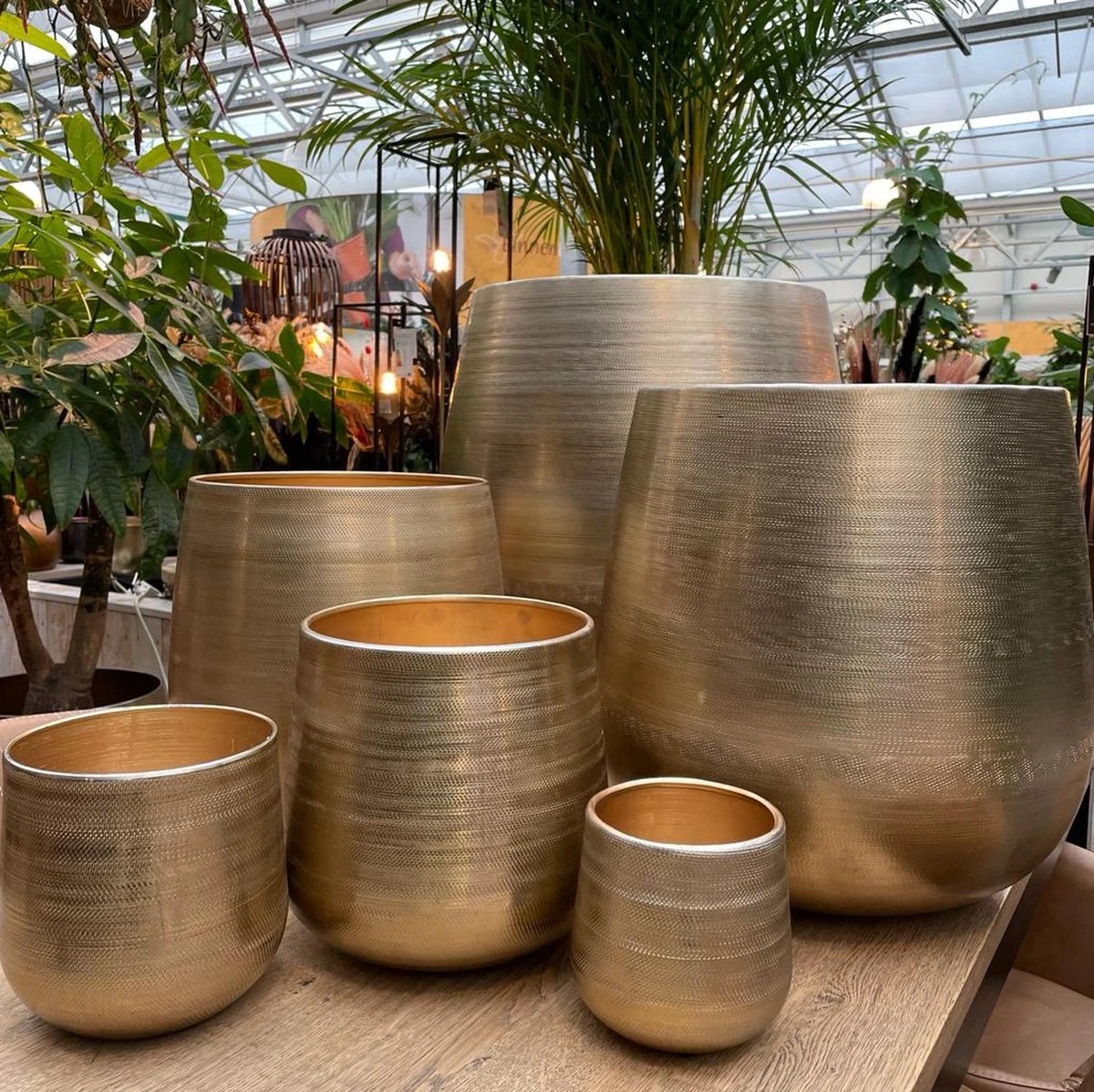 Merkloos Karakter Pot Alu Neo Gold ø40x40cm 4 Merkloos Karakter Pot Alu Neo Gold ø40x40cm - Afbeelding 4