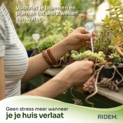 Waterdruppelaar Voor Planten - Irrigatiesysteem- Waterbol - Druppelsysteem - Watergeefsysteem Voor Kamerplanten - Plantenwatergever -6 Stuks - Transparant 10 Waterdruppelaar Voor Planten - Irrigatiesysteem- Waterbol - Druppelsysteem - Watergeefsysteem Voor Kamerplanten - Plantenwatergever -6 Stuks - Transparant -Tuinwinkel Voor Buitenartikelen 1200x1198 3