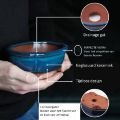 Happy Seed Keramieken Bonsai Pot (schaal) - Marine Blauw - Geglazuurd -Tuinwinkel Voor Buitenartikelen 1200x1200 1002