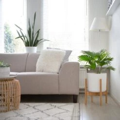 LifeGoods Planten Standaard - Uitschuifbare Bloempothouder - 20 Tot 30 Cm - Licht Bamboe 13 LifeGoods Planten Standaard - Uitschuifbare Bloempothouder - 20 Tot 30 Cm - Licht Bamboe -Tuinwinkel Voor Buitenartikelen 1200x1200 1015