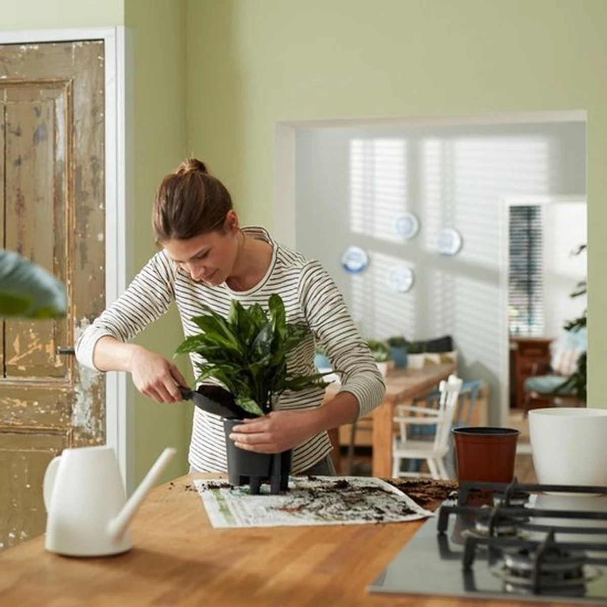 Elho Self-watering Insert 17 - Accessoires Voor Binnenaccessoires - Ø 17.0 X H 15.8 Cm - Zwart/Living Black 5 Elho Self-watering Insert 17 - Accessoires Voor Binnenaccessoires - Ø 17.0 X H 15.8 Cm - Zwart/Living Black - Afbeelding 5