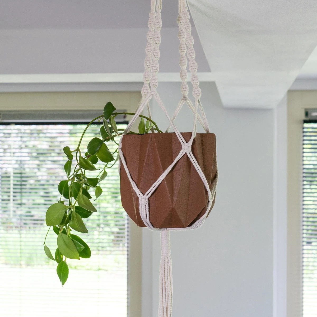 QUVIO Plantenhanger Voor Bloempot - Hangpot - Hangende Bloempot - Plantenhanger Macrame - Plantenhanger Binnen - Hangpotten - Plantenbakken - Hanging Baskets - Gevlochten Touw Met Spiralen 2 QUVIO Plantenhanger Voor Bloempot - Hangpot - Hangende Bloempot - Plantenhanger Macrame - Plantenhanger Binnen - Hangpotten - Plantenbakken - Hanging Baskets - Gevlochten Touw Met Spiralen - Afbeelding 2