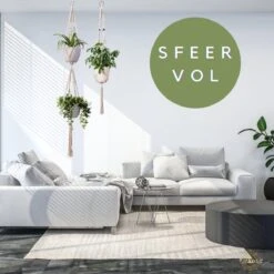 Plantenhanger Macrame Set Van 2 - Plantenhanger Met Ruimte Voor 3 Potten - Luxe Gevlochten Touw 100% Katoen - Duurzaam - Plantenbakken - Bloempotten - Macramé Stijl Hanger Voor Bloempotten - Hangpot - Fienosa 9 Plantenhanger Macrame Set Van 2 - Plantenhanger Met Ruimte Voor 3 Potten - Luxe Gevlochten Touw 100% Katoen - Duurzaam - Plantenbakken - Bloempotten - Macramé Stijl Hanger Voor Bloempotten - Hangpot - Fienosa -Tuinwinkel Voor Buitenartikelen 1200x1200 1061