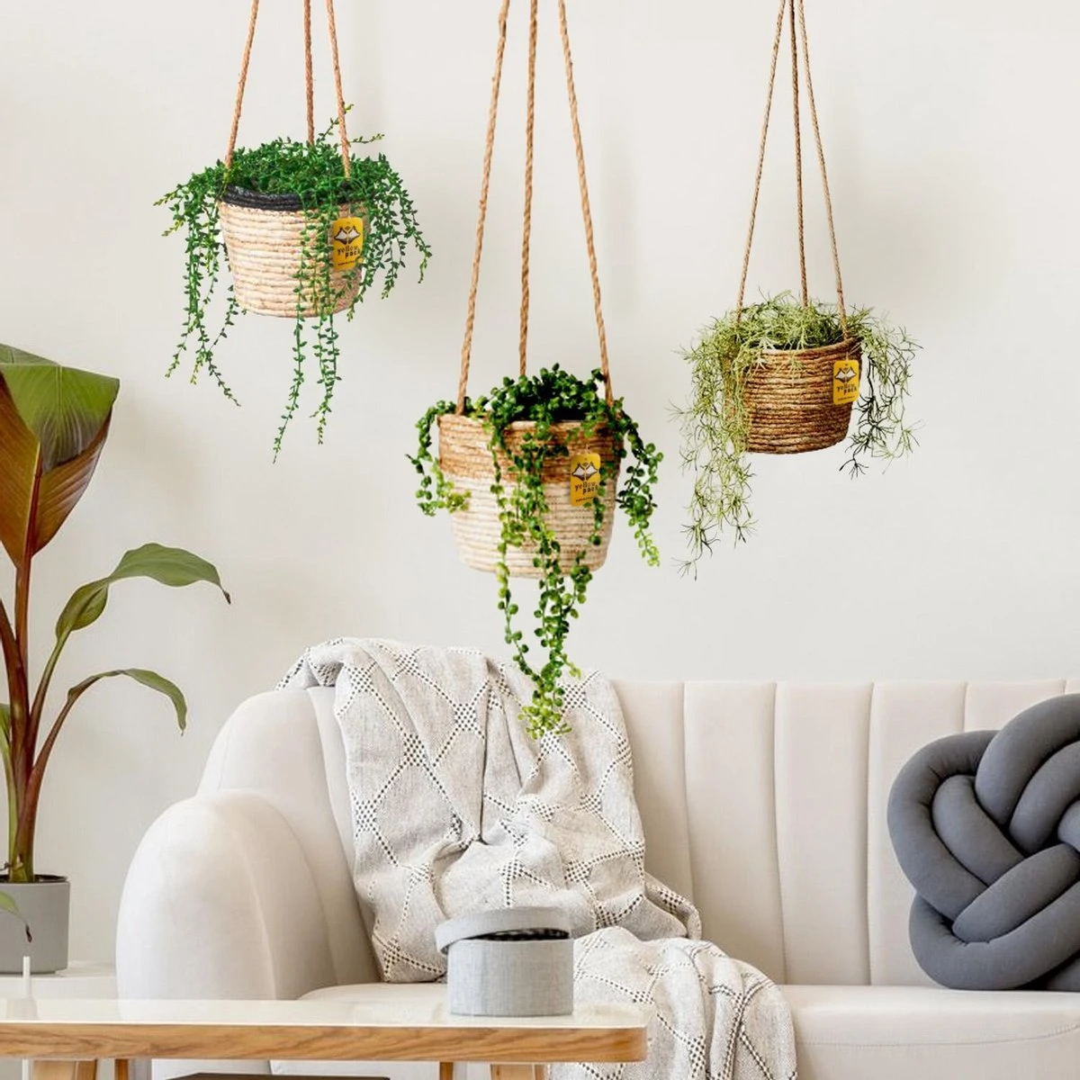 Merkloos Plantenhanger 18x15cm Naturel | Hangende Mand | Handgemaakt | Planten-houder / Hang-plant | Planten Accessoires | Hangmand 1 Merkloos Plantenhanger 18x15cm Naturel | Hangende Mand | Handgemaakt | Planten-houder / Hang-plant | Planten Accessoires | Hangmand