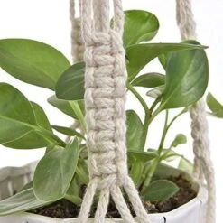 4 Stuks Plantenhangers - Boho Handgeweven Katoen Hangpot Voor Binnen/Buiten - Bloempot Met Kralen - Macramé Touw/Koord Hangplant Houder - Bohemian Wandhanger Decoratie - Verticale Tuin Plant Hanger Bloempothouder Planthanger Wit -Tuinwinkel Voor Buitenartikelen 1200x1200 1089