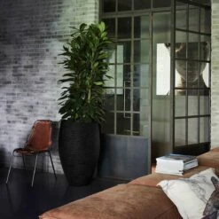 Capi Europe - Vaas Elegant Deluxe Rib NL - 45x72 - Zwart - Voor Binnen En Buiten - KBLR1138 -Tuinwinkel Voor Buitenartikelen 1200x1200 1098