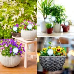 Druppelsysteem 12 Stuks Waterdruppelaar Voor Planten - Waterafgiftesysteem Voor 2 Weken - Beregening Voor Kamerplanten -Tuinwinkel Voor Buitenartikelen 1200x1200 110