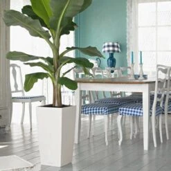 Prosperplast Kunststof Urbi Bloempot/plantenpot Met Binnenpot Wit 32 X 32 X 61 Cm - 21/49 Liter - Hoge Vierkante Bloempotten -Tuinwinkel Voor Buitenartikelen 1200x1200 1111