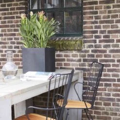 Capi Europe - Bloempot Vierkant Smooth NL - 30x30x30 - Zwart - Voor Binnen En Buiten - KBL902 -Tuinwinkel Voor Buitenartikelen 1200x1200 1121