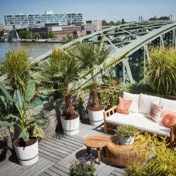 Elho Greenville Rond 30 - Grote Bloempot Voor Buiten - Gemaakt Van Gereycled Plastic - Ø 29.5 X H 27.8 Cm - Living Black -Tuinwinkel Voor Buitenartikelen 1200x1200 1138