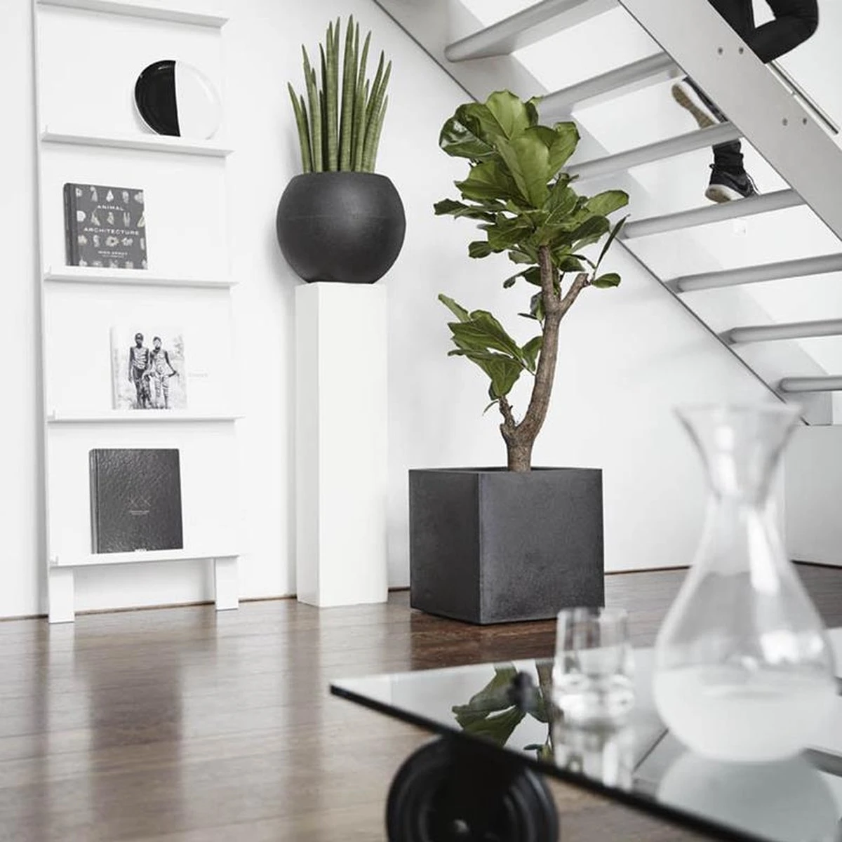 Capi Europe - Bloempot Vierkant Smooth NL - 50x50x50 - Zwart - Voor Binnen En Buiten - KBL904 2 Capi Europe - Bloempot Vierkant Smooth NL - 50x50x50 - Zwart - Voor Binnen En Buiten - KBL904 - Afbeelding 2