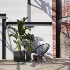 Capi Europe - Bloempot Vierkant Smooth NL - 50x50x50 - Zwart - Voor Binnen En Buiten - KBL904 22 Capi Europe - Bloempot Vierkant Smooth NL - 50x50x50 - Zwart - Voor Binnen En Buiten - KBL904 -Tuinwinkel Voor Buitenartikelen 1200x1200 1140