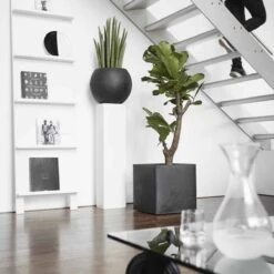 Capi Europe - Bloempot Vierkant Smooth NL - 50x50x50 - Zwart - Voor Binnen En Buiten - KBL904 39 Capi Europe - Bloempot Vierkant Smooth NL - 50x50x50 - Zwart - Voor Binnen En Buiten - KBL904 -Tuinwinkel Voor Buitenartikelen 1200x1200 1147