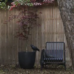 Capi Europe - Bloempot Bol Smooth NL - 54x52 - Zwart - Voor Binnen En Buiten - KBL935 18 Capi Europe - Bloempot Bol Smooth NL - 54x52 - Zwart - Voor Binnen En Buiten - KBL935 -Tuinwinkel Voor Buitenartikelen 1200x1200 1157