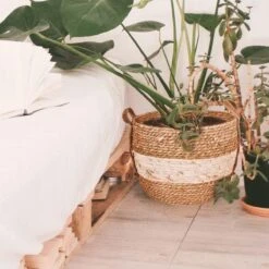 Merkloos Plantenmand 30x22cm Naturel Bruin – Multifunctionele Mand – Handgemaakt – Planten-houder – Planten Accessoires – Planten Mand 12 Merkloos Plantenmand 30x22cm Naturel Bruin – Multifunctionele Mand – Handgemaakt – Planten-houder – Planten Accessoires – Planten Mand -Tuinwinkel Voor Buitenartikelen 1200x1200 1168