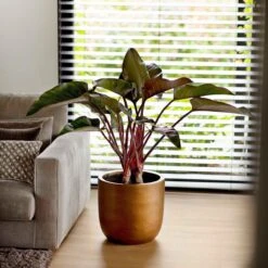 Capi Europe - Bloempot Bol Retro - 23x21 - Goud - Bloempot Voor Binnen - BRTG134 17 Capi Europe - Bloempot Bol Retro - 23x21 - Goud - Bloempot Voor Binnen - BRTG134 -Tuinwinkel Voor Buitenartikelen 1200x1200 1169