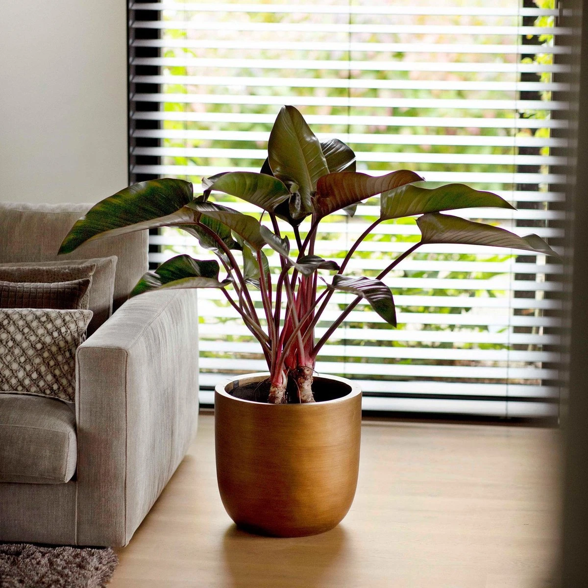 Capi Europe - Bloempot Bol Retro - 23x21 - Goud - Bloempot Voor Binnen - BRTG134 4 Capi Europe - Bloempot Bol Retro - 23x21 - Goud - Bloempot Voor Binnen - BRTG134 - Afbeelding 4