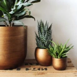 Capi Europe - Bloempot Bol Retro - 23x21 - Goud - Bloempot Voor Binnen - BRTG134 26 Capi Europe - Bloempot Bol Retro - 23x21 - Goud - Bloempot Voor Binnen - BRTG134 -Tuinwinkel Voor Buitenartikelen 1200x1200 1170