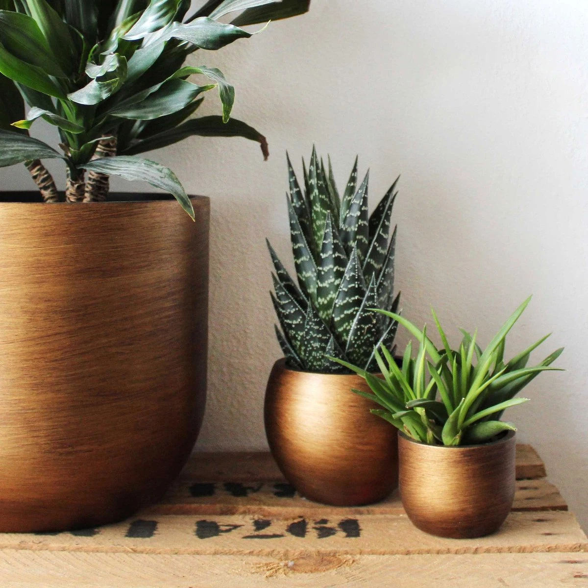 Capi Europe - Bloempot Bol Retro - 23x21 - Goud - Bloempot Voor Binnen - BRTG134 13 Capi Europe - Bloempot Bol Retro - 23x21 - Goud - Bloempot Voor Binnen - BRTG134 - Afbeelding 13