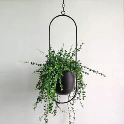 Be-Inspired® Hangende Bloempot Ovaal - Bloempot Binnen - Voor Hangplant – Plant Bloem Pot Met Opknoping – Plantenhanger - Plantenbak - Industrieel – Scandinavisch - Metaal - Zwart 9 Be-Inspired® Hangende Bloempot Ovaal - Bloempot Binnen - Voor Hangplant – Plant Bloem Pot Met Opknoping – Plantenhanger - Plantenbak - Industrieel – Scandinavisch - Metaal - Zwart -Tuinwinkel Voor Buitenartikelen 1200x1200 1174