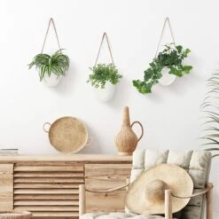 Gadgy Plantenhanger Keramiek - Set Van 3 - Hangpot Van Wit Steen - Hangende Bloempot Plantenpot - Met 3 Verschillende Koorden - 12x11x9.5CM 14 Gadgy Plantenhanger Keramiek - Set Van 3 - Hangpot Van Wit Steen - Hangende Bloempot Plantenpot - Met 3 Verschillende Koorden - 12x11x9.5CM -Tuinwinkel Voor Buitenartikelen 1200x1200 1189