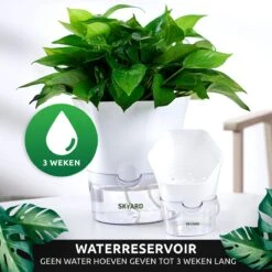 SKYARD® 3 Stuks Zelfwaterende Bloempot Maat M – Milieuvriendelijk Watergeefsysteem Kamerplanten – Zelfwatergevende Pot – Bloempot Met Waterreservoir – Selfwatering Pot – Wit 19 SKYARD® 3 Stuks Zelfwaterende Bloempot Maat M – Milieuvriendelijk Watergeefsysteem Kamerplanten – Zelfwatergevende Pot – Bloempot Met Waterreservoir – Selfwatering Pot – Wit -Tuinwinkel Voor Buitenartikelen 1200x1200 1209