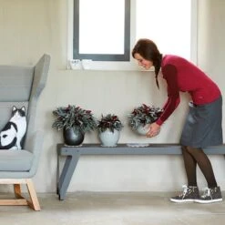 Elho Floorprotector Rond 25 - Accessoires Voor Binnen - Ø 25.0 X H 1.5 Cm - Transparant/Transparant -Tuinwinkel Voor Buitenartikelen 1200x1200 1214