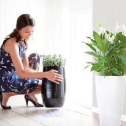 Elho Floorprotector Rond 25 - Accessoires Voor Binnen - Ø 25.0 X H 1.5 Cm - Transparant/Transparant -Tuinwinkel Voor Buitenartikelen 1200x1200 1215