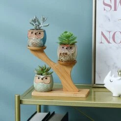 Luxe Bamboe Houten Boom Met 3 Keramiek Uil Bloempotten/Plantenpotten Op Standaard/Voet Voor Binnen En Buiten - Modern Design Bloempot/Plantenpot Op Poten/Pootjes-Plantenbak Mini Cactus Nep Plant Pot Houder - Kleine Bloembakken Plantenrek/Plantenkurk -Tuinwinkel Voor Buitenartikelen 1200x1200 1224