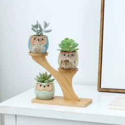 Luxe Bamboe Houten Boom Met 3 Keramiek Uil Bloempotten/Plantenpotten Op Standaard/Voet Voor Binnen En Buiten - Modern Design Bloempot/Plantenpot Op Poten/Pootjes-Plantenbak Mini Cactus Nep Plant Pot Houder - Kleine Bloembakken Plantenrek/Plantenkurk -Tuinwinkel Voor Buitenartikelen 1200x1200 1225