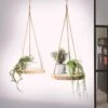 Merkloos Plantenhanger Boomstam Schijf | 30-35cm | Handgemaakt | Planten-houder / Hang-plant | Planten Accessoires | Decoratie Houten Hang Plank |