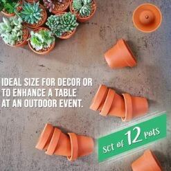 Garden Mania - 12 Mini Terracotta Keramische Klei Bloempotten Met Afvoergat, 8cm 10 Garden Mania - 12 Mini Terracotta Keramische Klei Bloempotten Met Afvoergat, 8cm -Tuinwinkel Voor Buitenartikelen 1200x1200 1241