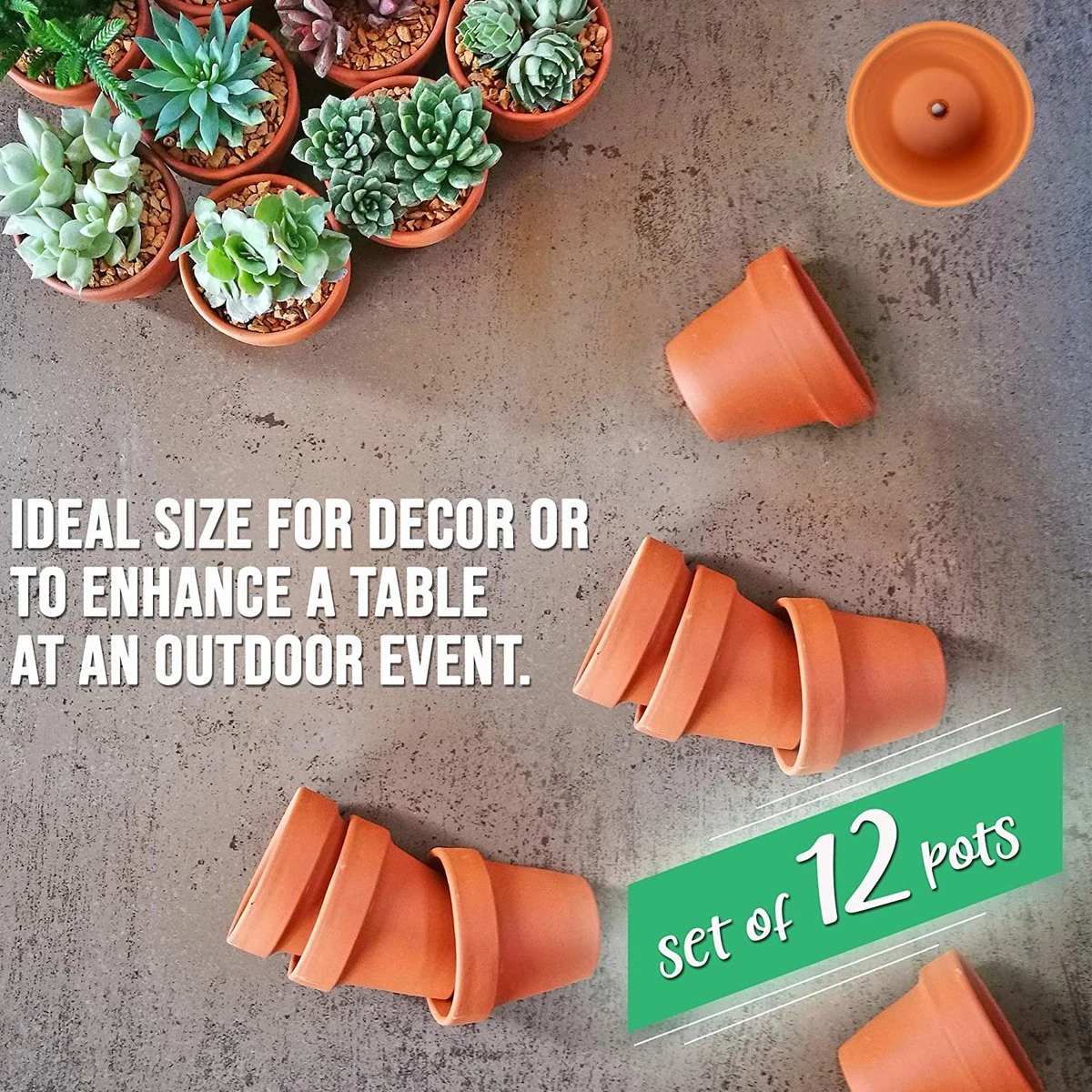 Garden Mania - 12 Mini Terracotta Keramische Klei Bloempotten Met Afvoergat, 8cm 5 Garden Mania - 12 Mini Terracotta Keramische Klei Bloempotten Met Afvoergat, 8cm - Afbeelding 5