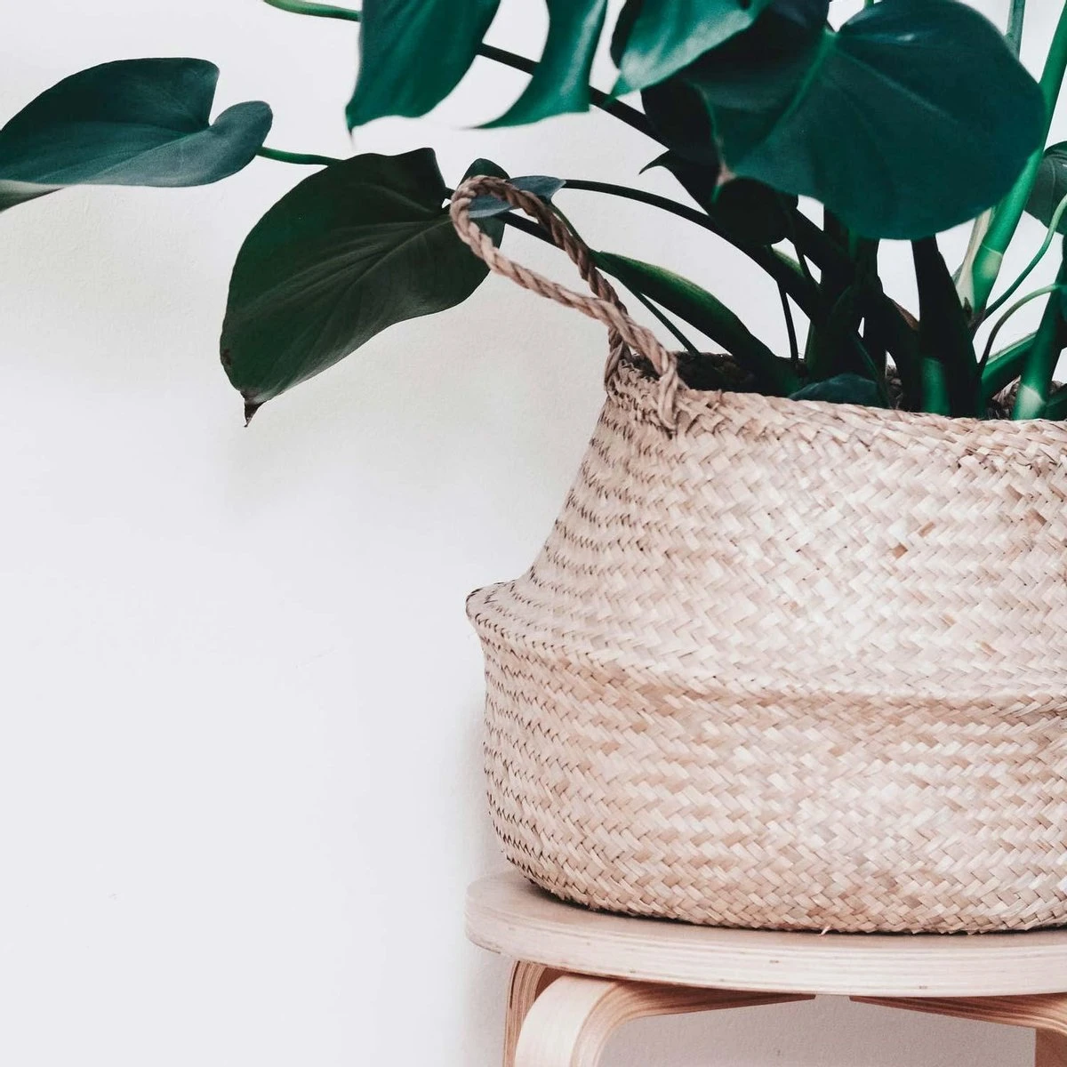 Plantenmand 35x35cm Naturel Extra Groot | Multifunctionele Mand | Handgemaakt | Planten-houder | Planten Accessoires | Planten Mand 1 Plantenmand 35x35cm Naturel Extra Groot | Multifunctionele Mand | Handgemaakt | Planten-houder | Planten Accessoires | Planten Mand