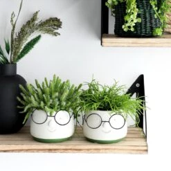 2x Bloempot Met Gezicht - Ø8 X H6,5 Cm - Bloempotten Voor Binnen Met Bril/Face/Hoofd 13 2x Bloempot Met Gezicht - Ø8 X H6,5 Cm - Bloempotten Voor Binnen Met Bril/Face/Hoofd -Tuinwinkel Voor Buitenartikelen 1200x1200 1256