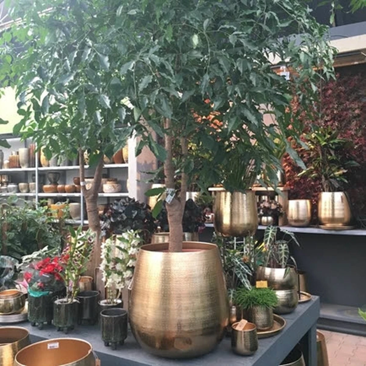 Merkloos Bloempot Karakter Goud - L 6 Merkloos Bloempot Karakter Goud - L - Afbeelding 6