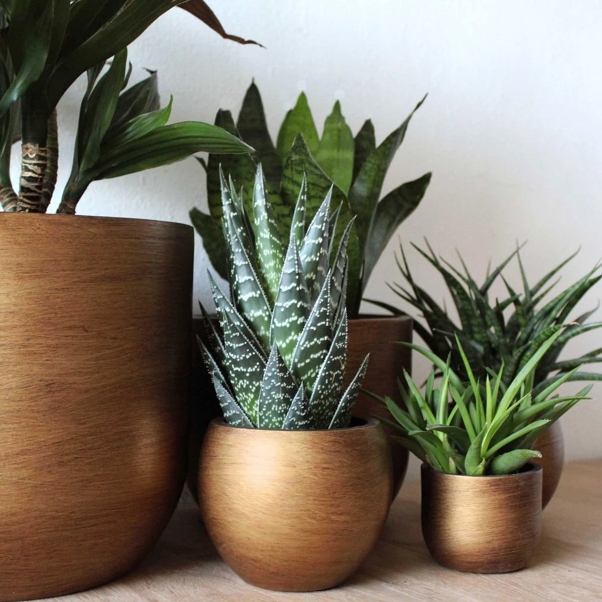 Capi Europe - Vaas Bol Retro - 30x25 - Goud - Bloempot Voor Binnen - BRTG104 5 Capi Europe - Vaas Bol Retro - 30x25 - Goud - Bloempot Voor Binnen - BRTG104 - Afbeelding 5