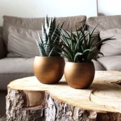 Capi Europe - Vaas Bol Retro - 30x25 - Goud - Bloempot Voor Binnen - BRTG104 15 Capi Europe - Vaas Bol Retro - 30x25 - Goud - Bloempot Voor Binnen - BRTG104 -Tuinwinkel Voor Buitenartikelen 1200x1200 1291