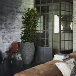 Capi Europe - Vaas Elegant Deluxe Rib NL - 40x60 - Antraciet - Voor Binnen En Buiten - KOFZ1131 17 Capi Europe - Vaas Elegant Deluxe Rib NL - 40x60 - Antraciet - Voor Binnen En Buiten - KOFZ1131 -Tuinwinkel Voor Buitenartikelen 1200x1200 1297