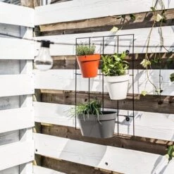 Elho Loft Urban Green Wall Rek 48 - Accessoires Voor Buiten - Ø 47.3 X H 59.0 Cm - Zwart/Living Black 13 Elho Loft Urban Green Wall Rek 48 - Accessoires Voor Buiten - Ø 47.3 X H 59.0 Cm - Zwart/Living Black -Tuinwinkel Voor Buitenartikelen 1200x1200 1298