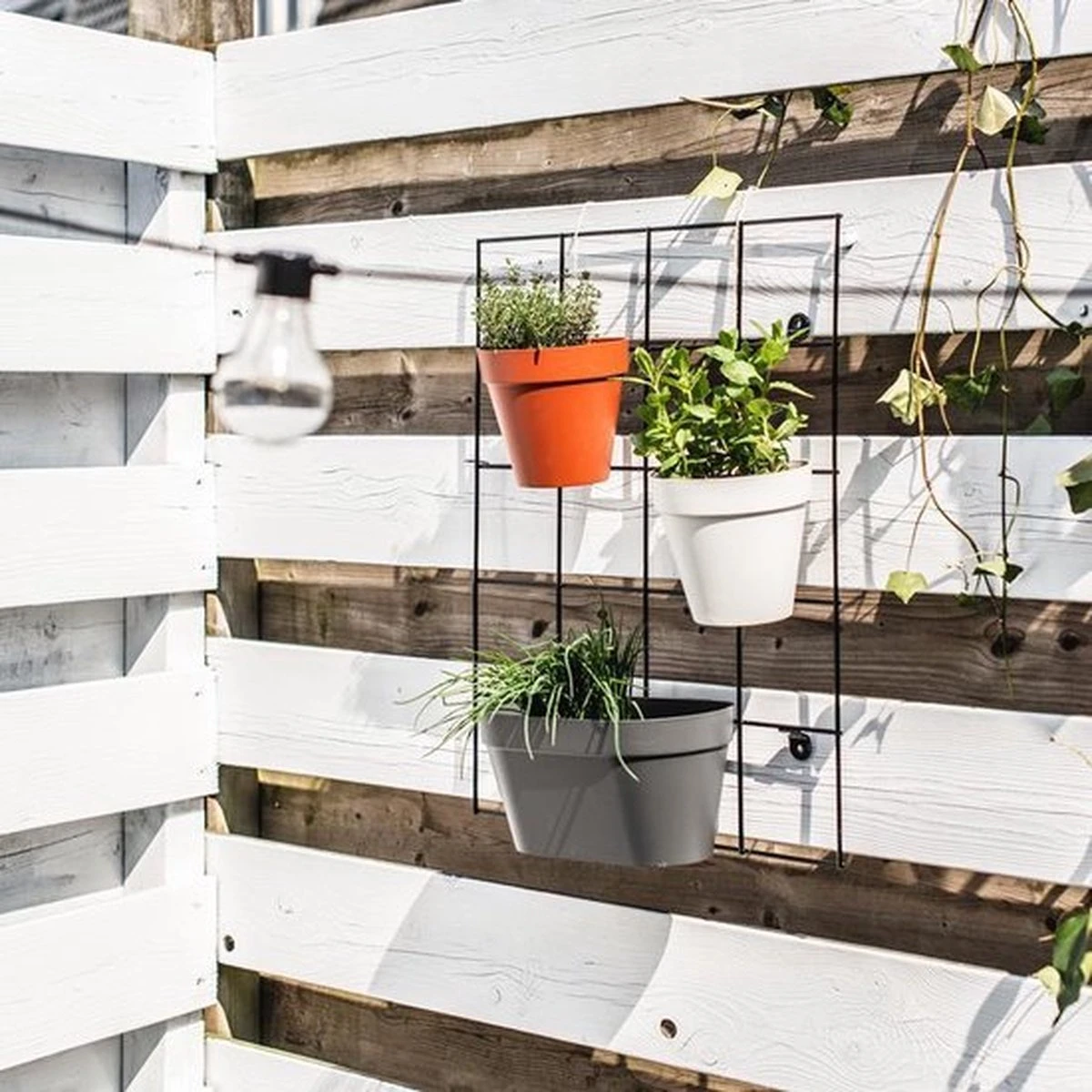 Elho Loft Urban Green Wall Rek 48 - Accessoires Voor Buiten - Ø 47.3 X H 59.0 Cm - Zwart/Living Black 4 Elho Loft Urban Green Wall Rek 48 - Accessoires Voor Buiten - Ø 47.3 X H 59.0 Cm - Zwart/Living Black - Afbeelding 4