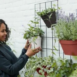 Elho Loft Urban Green Wall Rek 48 - Accessoires Voor Buiten - Ø 47.3 X H 59.0 Cm - Zwart/Living Black 14 Elho Loft Urban Green Wall Rek 48 - Accessoires Voor Buiten - Ø 47.3 X H 59.0 Cm - Zwart/Living Black -Tuinwinkel Voor Buitenartikelen 1200x1200 1299