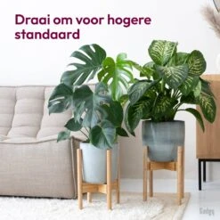 Gadgy Bamboe Plantenstandaard 2 St - Plantentafel - Plantentafeltje Voor Binnen - Plantenrek - Uitschuifbaar - Hout - Ø 20 Tot 30 Cm -Tuinwinkel Voor Buitenartikelen 1200x1200 1302