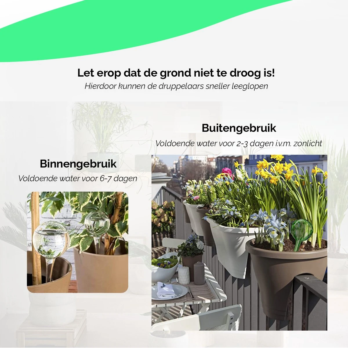 HGMD Waterdruppelaar Set Van 8 Stuks Voor Planten Transparant - Blauw - Waterdruppelaar Voor Kamerplanten – Waterbol - Waterdruppelaar Voor Planten - Watergeefsysteem 5 HGMD Waterdruppelaar Set Van 8 Stuks Voor Planten Transparant - Blauw - Waterdruppelaar Voor Kamerplanten – Waterbol - Waterdruppelaar Voor Planten - Watergeefsysteem - Afbeelding 5