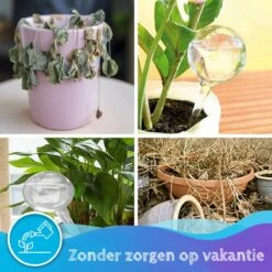 Summer Spark Waterdruppelaar Voor Planten 6 Stuks Transparant – 27 CM X 8 CM – 250 ML – Automatisch Watergeefsysteem Voor Kamerplanten – Planten Watergever Met Druppelsysteem – Waterbol -Tuinwinkel Voor Buitenartikelen 1200x1200 170
