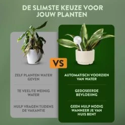 STFF & Co® Waterdruppelaar Voor Planten – Irrigatiesysteem Automatisch Watergeefsysteem – Waterbollen Voor Planten – Bewateringssysteem – 8 Stuks - 5cm 7 STFF & Co® Waterdruppelaar Voor Planten – Irrigatiesysteem Automatisch Watergeefsysteem – Waterbollen Voor Planten – Bewateringssysteem – 8 Stuks - 5cm -Tuinwinkel Voor Buitenartikelen 1200x1200 192