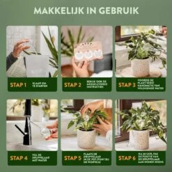 STFF & Co® Waterdruppelaar Voor Planten – Irrigatiesysteem Automatisch Watergeefsysteem – Waterbollen Voor Planten – Bewateringssysteem – 8 Stuks - 5cm 8 STFF & Co® Waterdruppelaar Voor Planten – Irrigatiesysteem Automatisch Watergeefsysteem – Waterbollen Voor Planten – Bewateringssysteem – 8 Stuks - 5cm -Tuinwinkel Voor Buitenartikelen 1200x1200 193