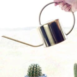 Kikkerland Vintage Gieter - Plantengieter Voor Binnen - Goud - 1,2L - Retro - Metaal 10 Kikkerland Vintage Gieter - Plantengieter Voor Binnen - Goud - 1,2L - Retro - Metaal -Tuinwinkel Voor Buitenartikelen 1200x1200 212