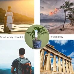 BOTC Waterdruppelaar Set Van 6 Stuks Voor Planten - Watergeefsysteem -Tuinwinkel Voor Buitenartikelen 1200x1200 237